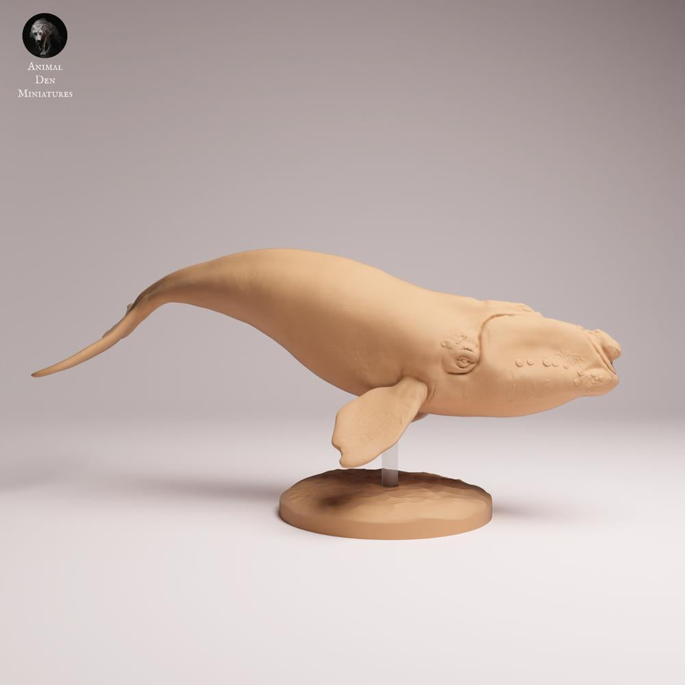 Kategoriebild Neuheiten Tiere mit neuen Tierfiguren und Tierminiaturen für Diorama und Modellbau