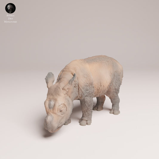 Product photo Animal Figure Diorama, Model Building: 0: Wildlife Figure: Sumatran Rhino Calf (Ref 25_03_01)