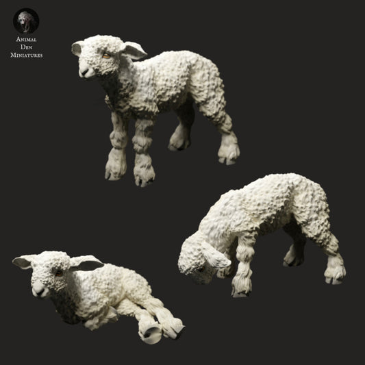 Product photo animal figure diorama, model building: 0: Farm animal figures: 3 lambs - standing, grazing, and lying lamb