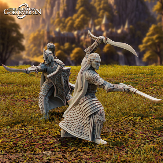Product photo Tabletop 28mm The Printing Goes Ever On (TPGEO) 0: Elven Heroes - Riin and Onorfin - Brave Leaders of the Elven People