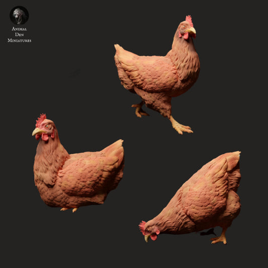Product photo animal figure diorama, model building: 0: Farm animal figures: 3 chickens - eating, sitting, and running