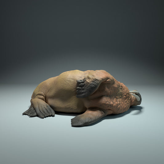 Product photo Animal Figure Diorama, Model Building: 0: Sea Creature Figure: Sleeping Walrus (Ref 01_01_49)