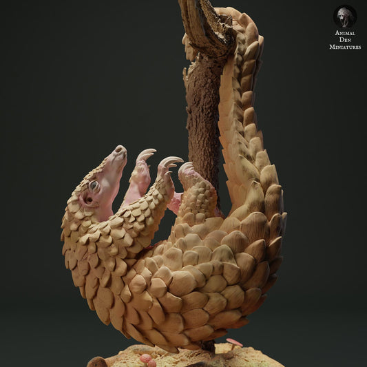Product photo Animal Figure Diorama, Model Building: 0: Jungle Animal Figure: Hanging Malayan Pangolin - Sunda Pangolin (Ref 01_01_06)