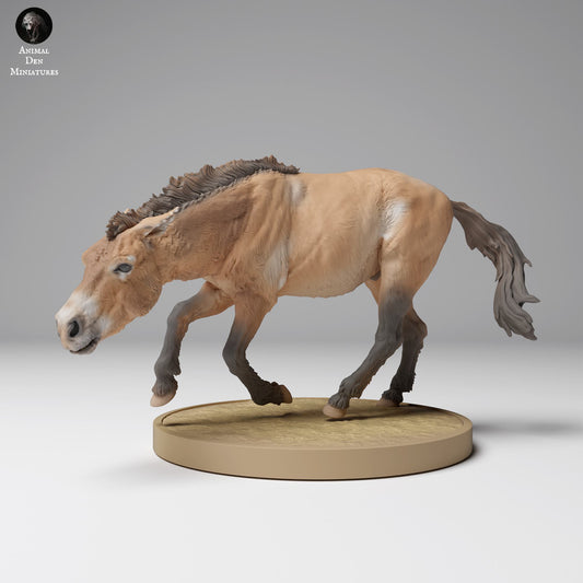 Product photo Animal Figure Diorama, Model Building: 0: Wild Animal Figure: Running Przewalski Horse (Ref 24_12_01)