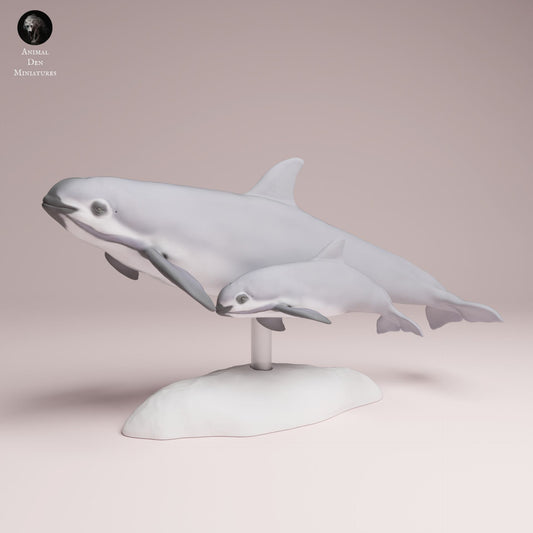 Product photo Animal Figure Diorama, Model Building: 0: Sea Creatures Figure: Vaquita with Calf – Porpoise (Ref 25_07_03)