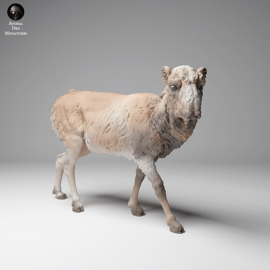 Product photo Animal Figure Diorama, Model Building: 0: Wild Animal Figure: Mongolian Saiga Antelope – Female in Winter Coat (Ref 24_12_14)