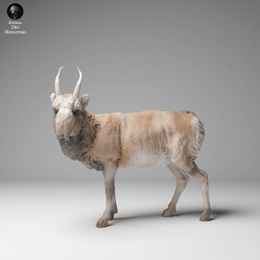 Product photo Animal Figure Diorama, Model Building: 0: Wild Animal Figure: Mongolian Saiga Antelope – Male (Ref 24_12_10)