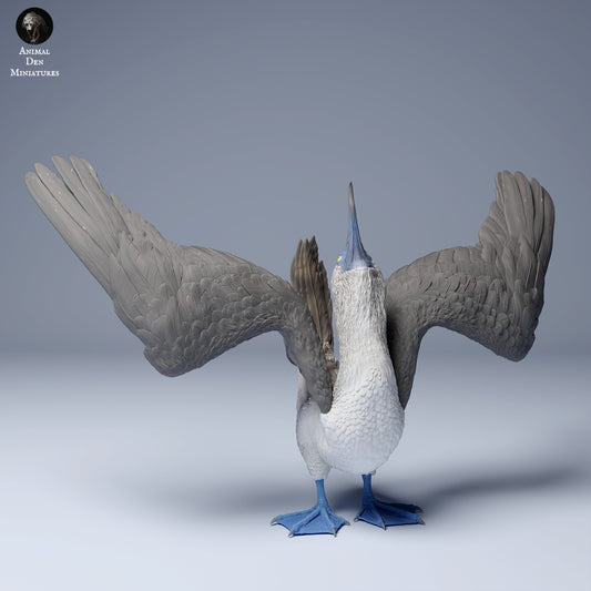 Product photo Animal Figure Diorama, Model Building: 0: Sea Creature Figure: Blue-footed Booby – Dancing Pose (Ref 24_08_08)