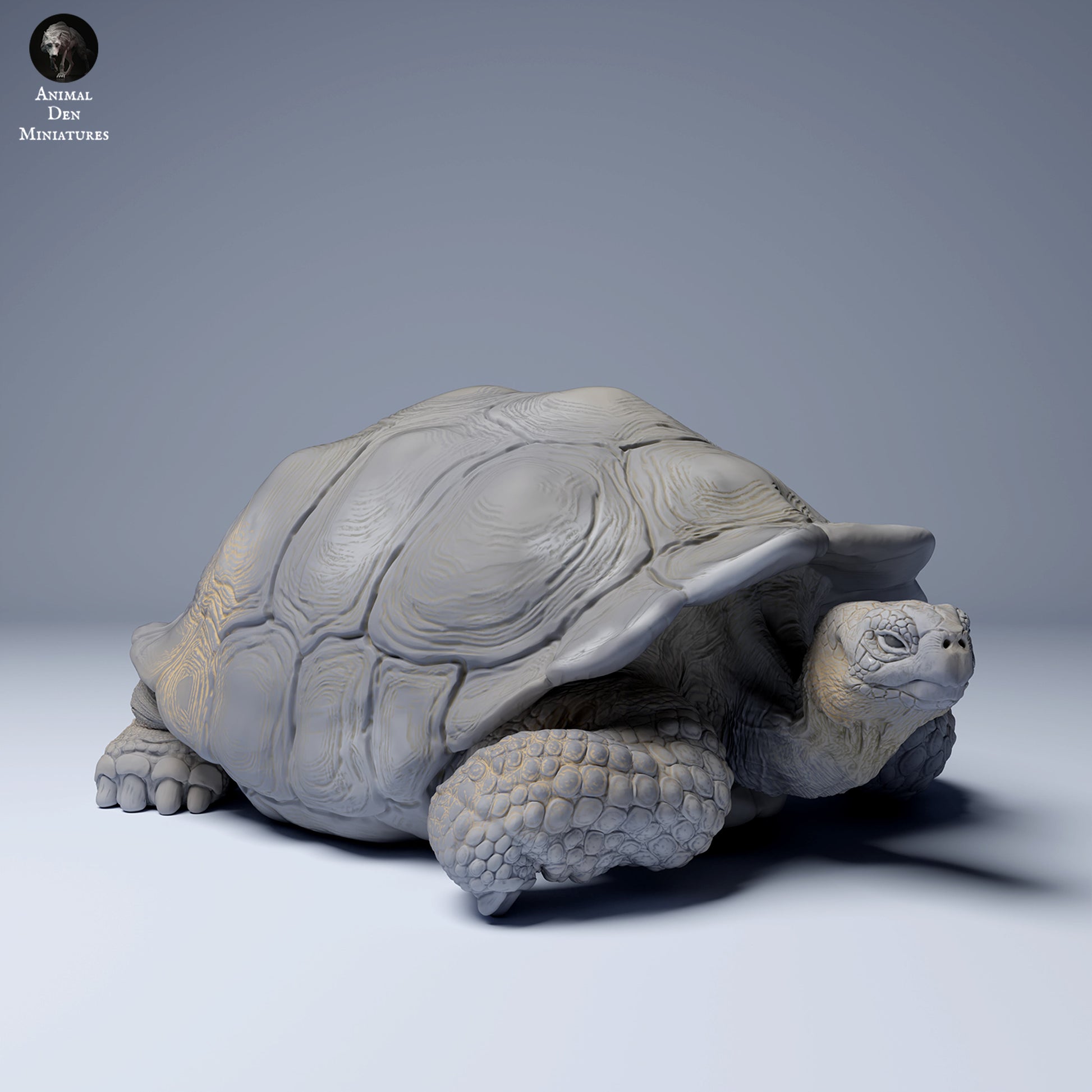 Product photo Animal Figure Diorama, Model Building: 0: Wild Animal Figure: Lying Galápagos Giant Tortoise (Ref 24_08_04)