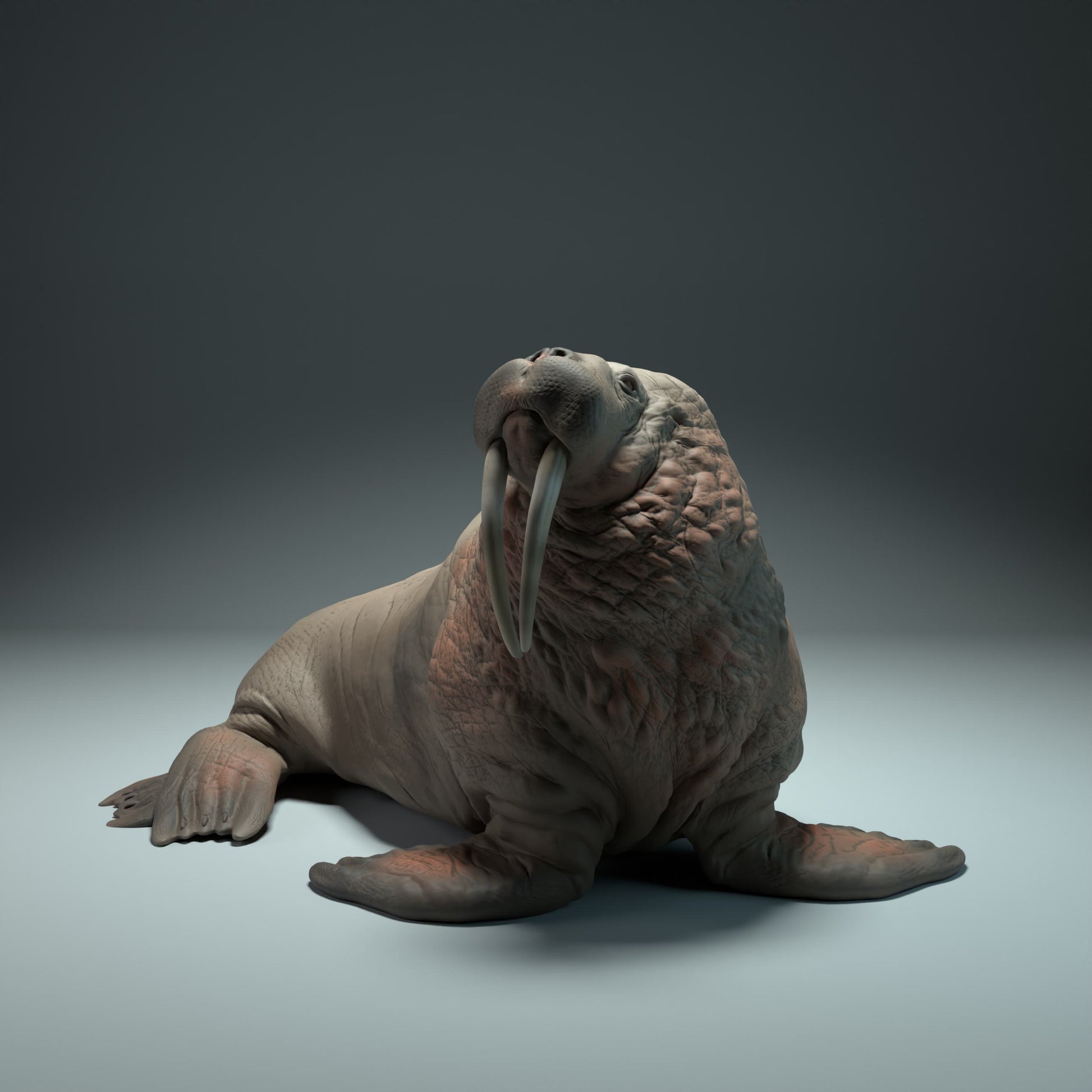 Product photo Animal Figure Diorama, Model Building: 0: Sea Creature Figure: Walrus – realistic miniature for dioramas and model building (Ref 01_01_31)