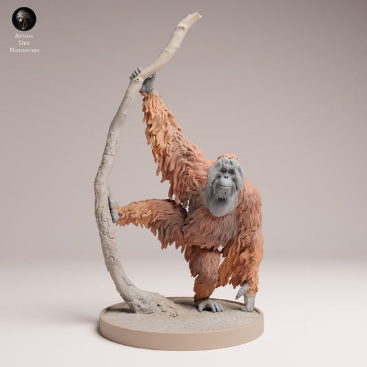 Product photo Animal Figure Diorama, Model Building: 0: Jungle Animal Figure: Sumatra Orangutan (Ref 25_03_09)