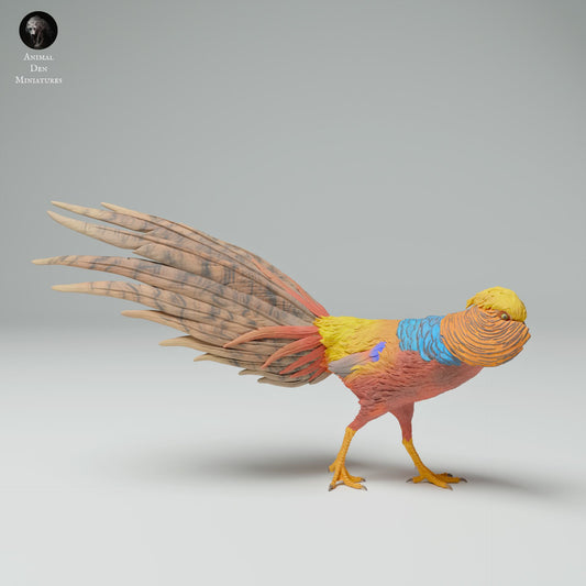 Product photo Animal Figurine Diorama, Model Building: 0: Wildlife Figurine: Golden Pheasant Male (Ref 25_02_10)