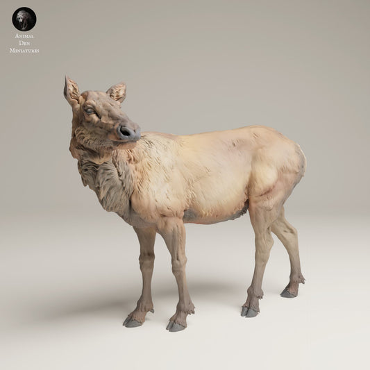 Product photo Animal Figure Diorama, Model Building: 0: Wild Animal Figure: Rocky Mountain Elk Cow (Ref 25_06_02)
