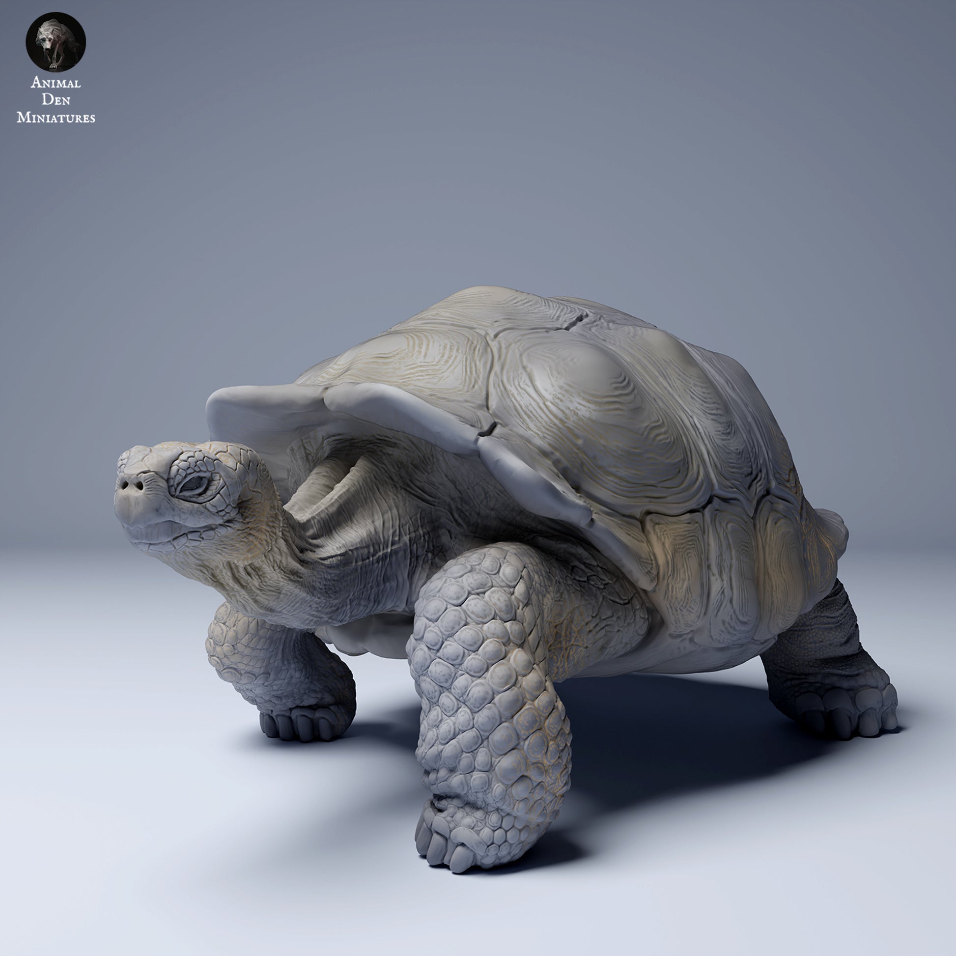 Product photo Animal Figure Diorama, Model Building: 0: Wildlife Figure: Galápagos Giant Tortoise (Ref 24_08_05)