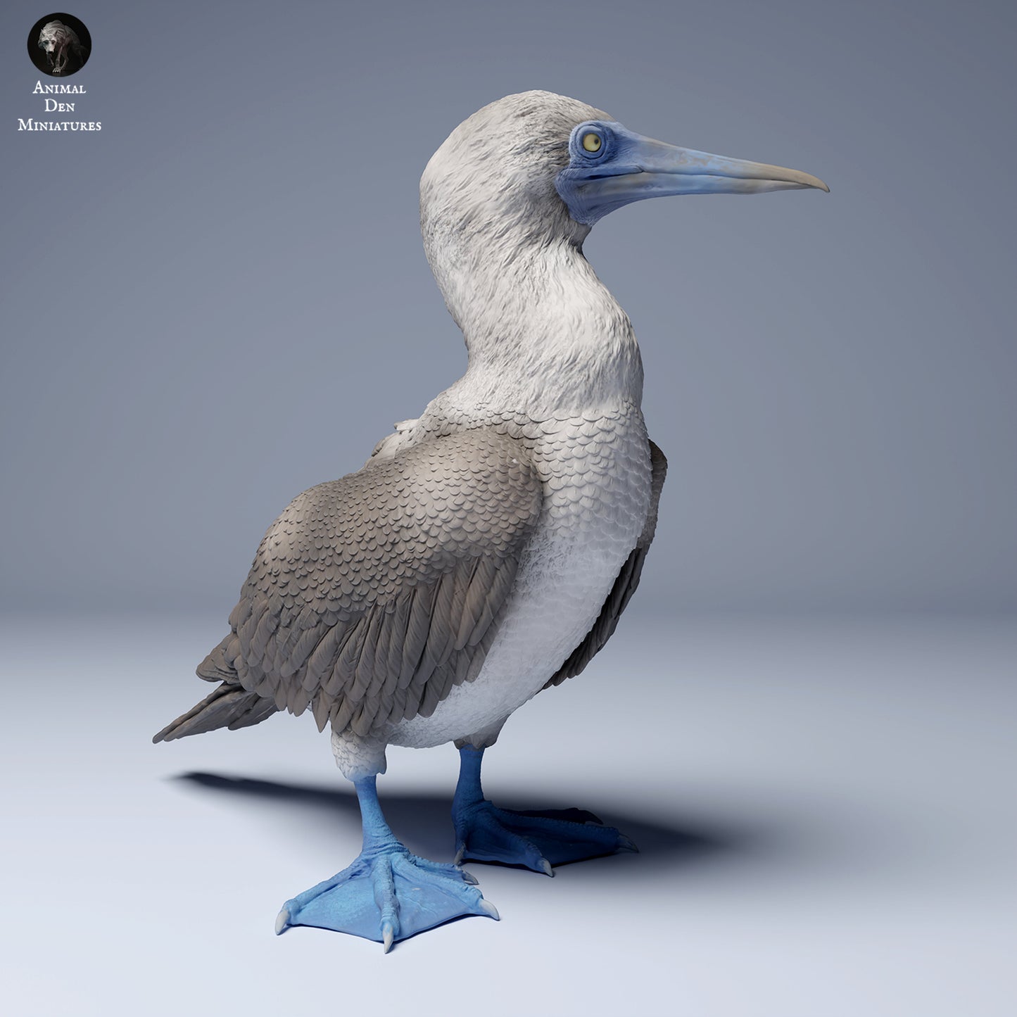 Produktfoto Tier Figur Diorama, Modellbau: 0: Meerestier Figur: Blaufußtölpel (Ref 24_08_10)