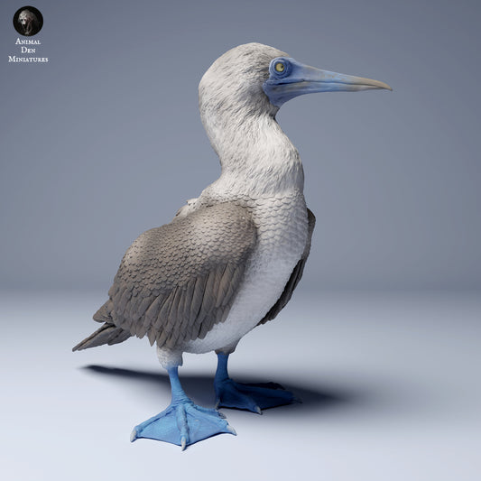 Product photo Animal Figure Diorama, Model Building: 0: Sea Creature Figure: Blue-footed Booby (Ref 24_08_10)