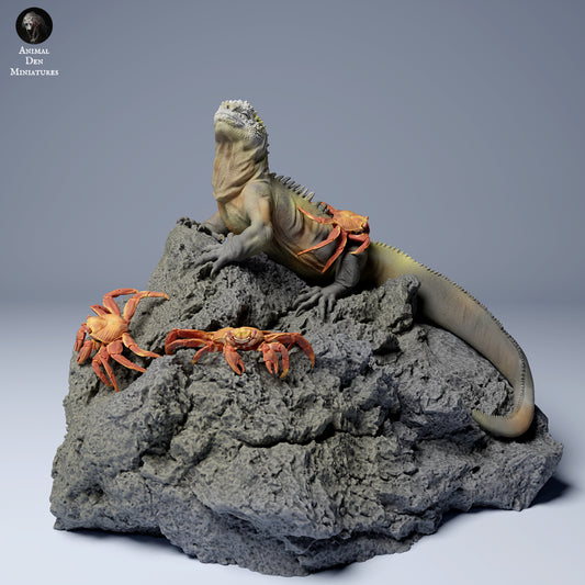 Product photo Animal Figure Diorama, Model Building: 0: Sea Creature Figure: Marine Lizard with Sally Lightfoot Crabs (Ref 24_08_01)