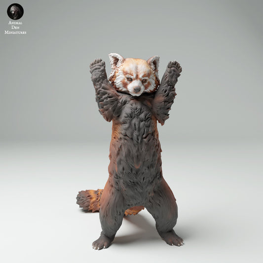 Product photo Animal Figure Diorama, Model Building: 0: Wildlife Figure: Red Panda – Ailurus fulgens (Ref 25_02_01)
