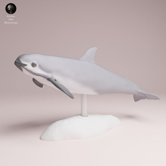 Product photo Animal Figure Diorama, Model Building: 0: Sea Creature Figure: Vaquita – Porpoise (Ref 25_07_05)