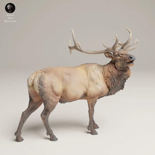 Product photo Animal Figure Diorama, Model Building: 0: Wildlife Figure: Bugler Elk – Rocky Mountain (Ref 25_06_04)