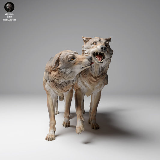 Product photo Animal Figure Diorama, Model Building: 0: Wildlife Figures: Mongolian Wolves in Play (Ref 24_12_05)