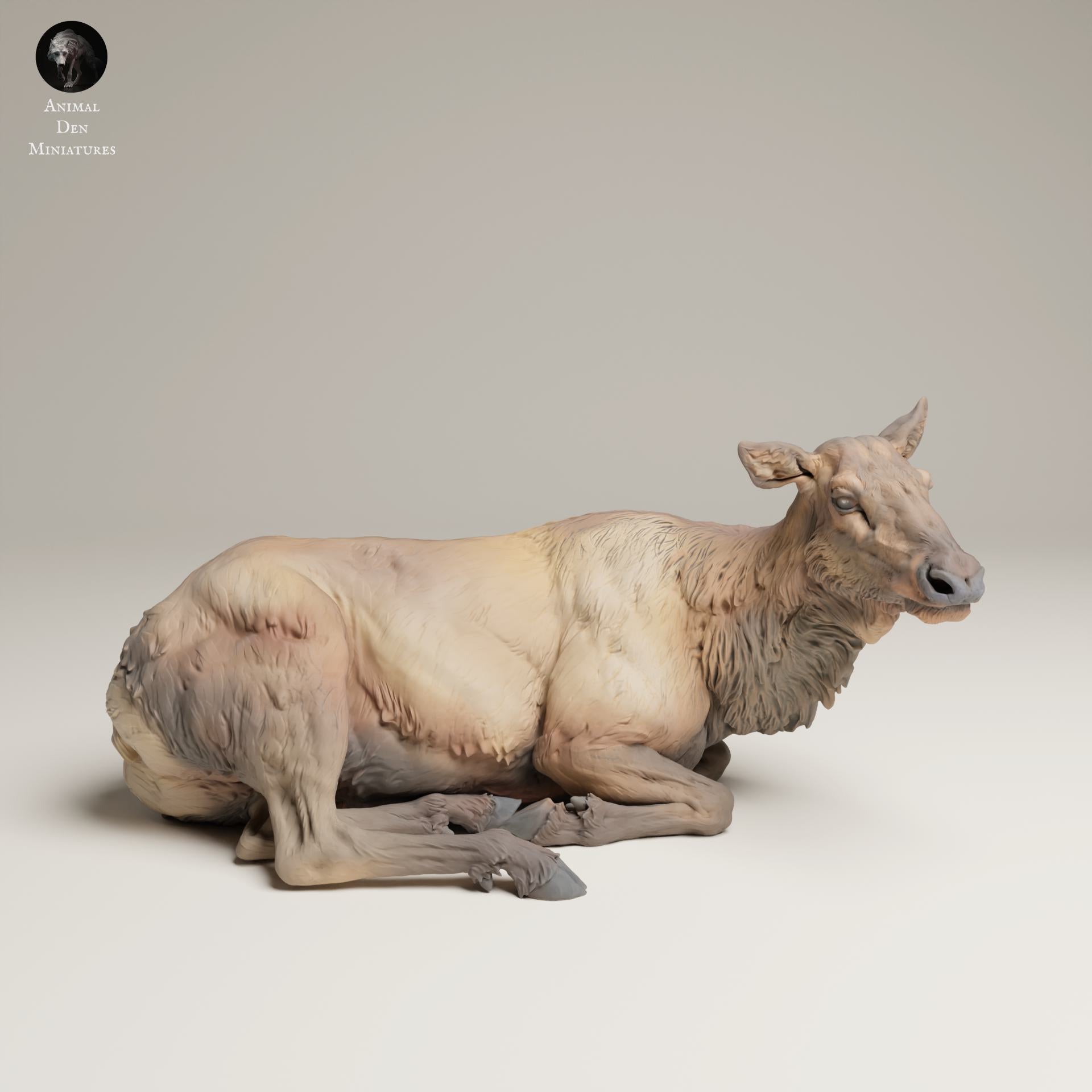 Product photo Animal Figure Diorama, Model Building: 0: Wildlife Figure: Lying Cow Moose – Rocky Mountain (Ref 25_06_14)