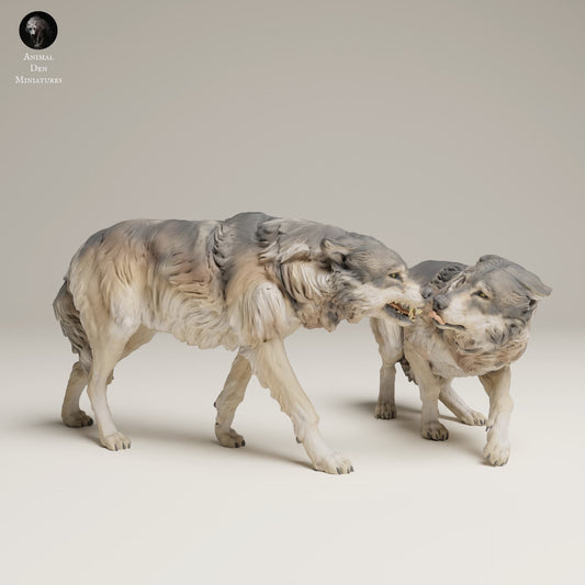 Product photo Animal Figure Diorama, Model Building: 0: Wild Animal Figure: Aggressive Gray Wolf (Ref 25_06_09)