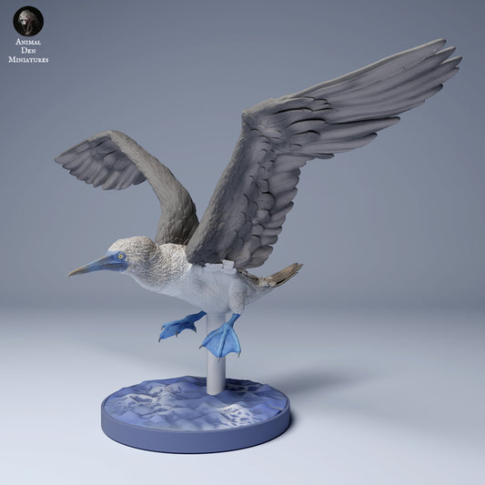 Product photo Animal Figure Diorama, Model Building: 0: Sea Creature Figure: Blue-footed Booby in Flight (Ref 24_08_07)