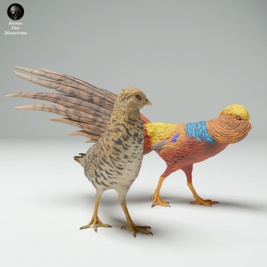 Product photo Animal Figure Diorama, Model Building: 0: Wildlife Figures: Golden Pheasant Male and Female (Ref 25_02_04)