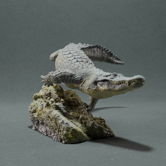 Product photo Animal Figure Diorama, Model Building: 0: Wildlife Figure: Swimming American Alligator (Ref 01_01_44)