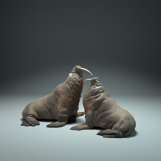 Product photo Animal Figure Diorama, Model Building: 0: Sea Creature Figure: Fighting Walruses (Ref 01_01_50)
