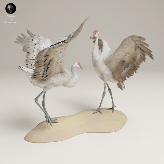 Product photo Animal Figure Diorama, Model Building: 0: Wildlife Figure: Dancing Canadian Cranes – Great Sandhill Cranes (Ref 25_06_10)