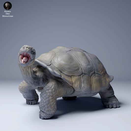 Product photo animal figure diorama, model building: 0: Jungle animal figure: feeding Galápagos giant tortoise (Ref 24_08_03)