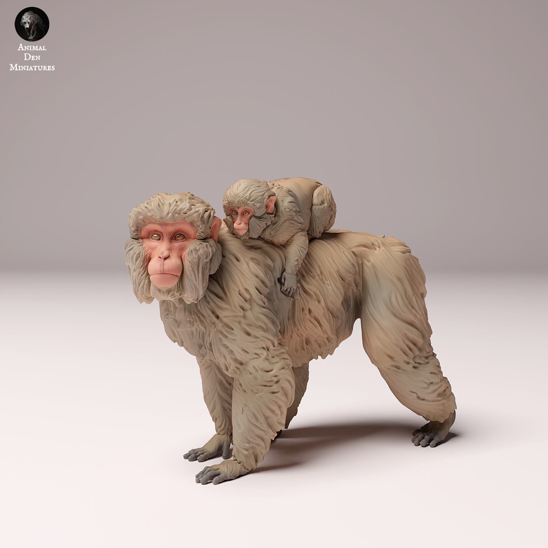 Product photo Animal Figure Diorama, Model Building: 0: Wildlife Figure: Japanese Macaque Female with Young (Ref 24_10_07)