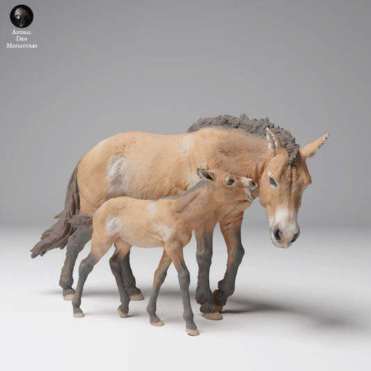 Product photo Animal Figure Diorama, Model Building: 0: Wildlife Figure: Przewalski Horse with Foal (Ref 24_12_03)