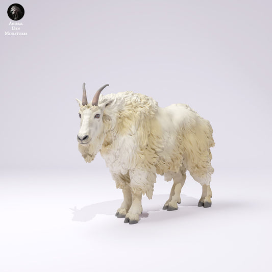 Product photo Animal Figure Diorama, Model Building: 0: Wildlife Figure: Rocky Mountain Goat – Male (Ref 25_01_01)