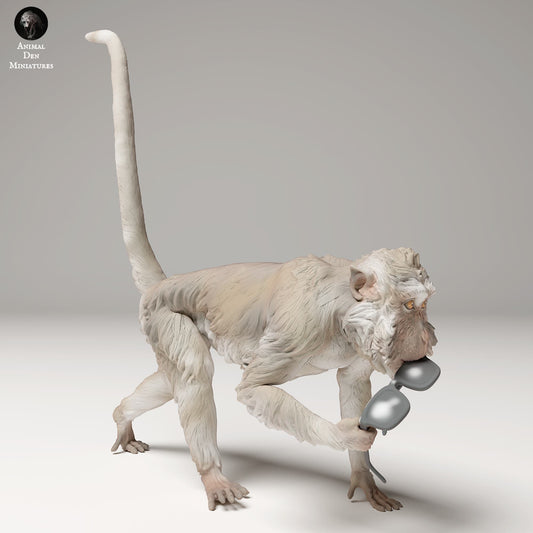 Product photo animal figure diorama, model building: 0: Jungle animal figure: Spectacled langur – macaque (Ref 24_09_12)
