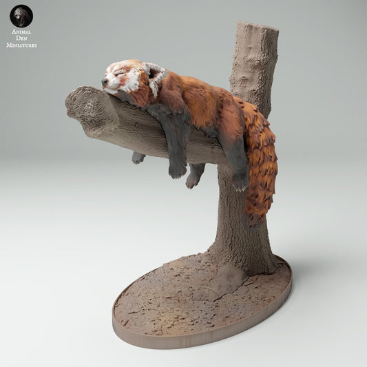 Product photo Animal Figure Diorama, Model Building: 0: Jungle Animal Figure: Sleeping Red Panda (Ref 25_02_02)