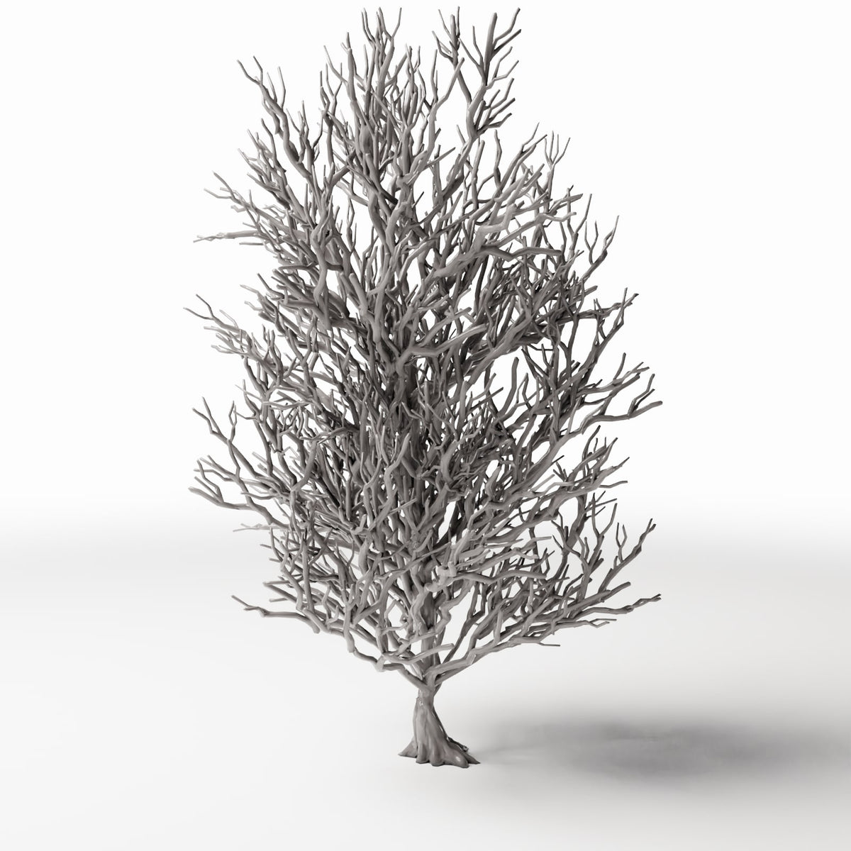 Diorama model-building product photo 3: Diorama Plants: Tall Leafless Tree with Roots (Ref. 1092D)