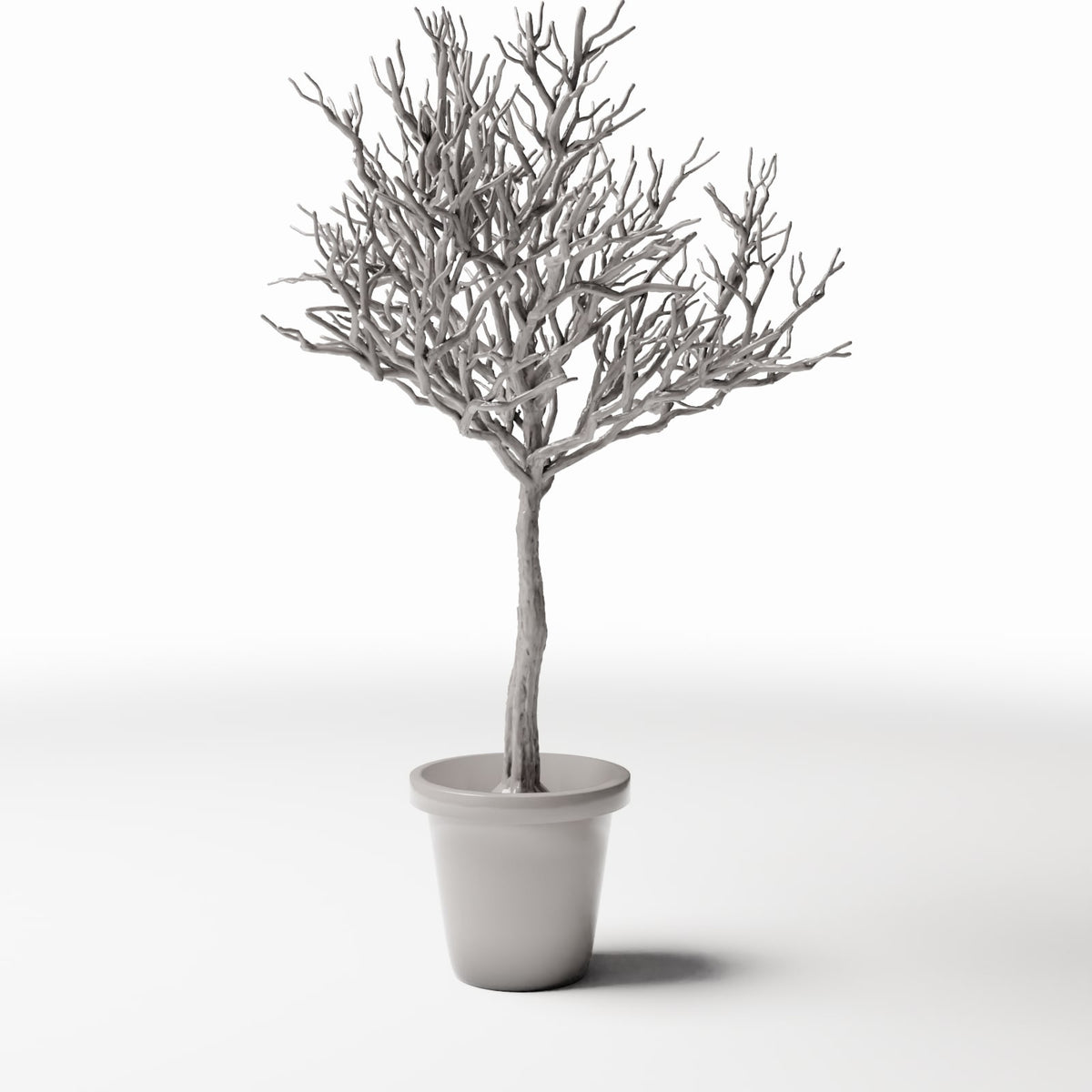 Diorama Modellbau Produktfoto 3: Diorama Pflanzen: Blattloser Zierbaum im Blumentopf (Ref. 1100D)