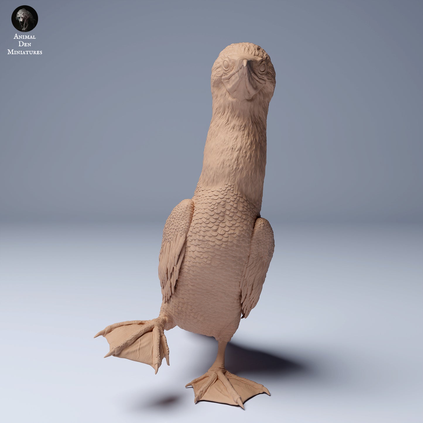 Produktfoto Tier Figur Diorama, Modellbau: 0: Meerestier Figur: Blaufußtölpel – Blue Footed Booby (Ref 24_08_06)