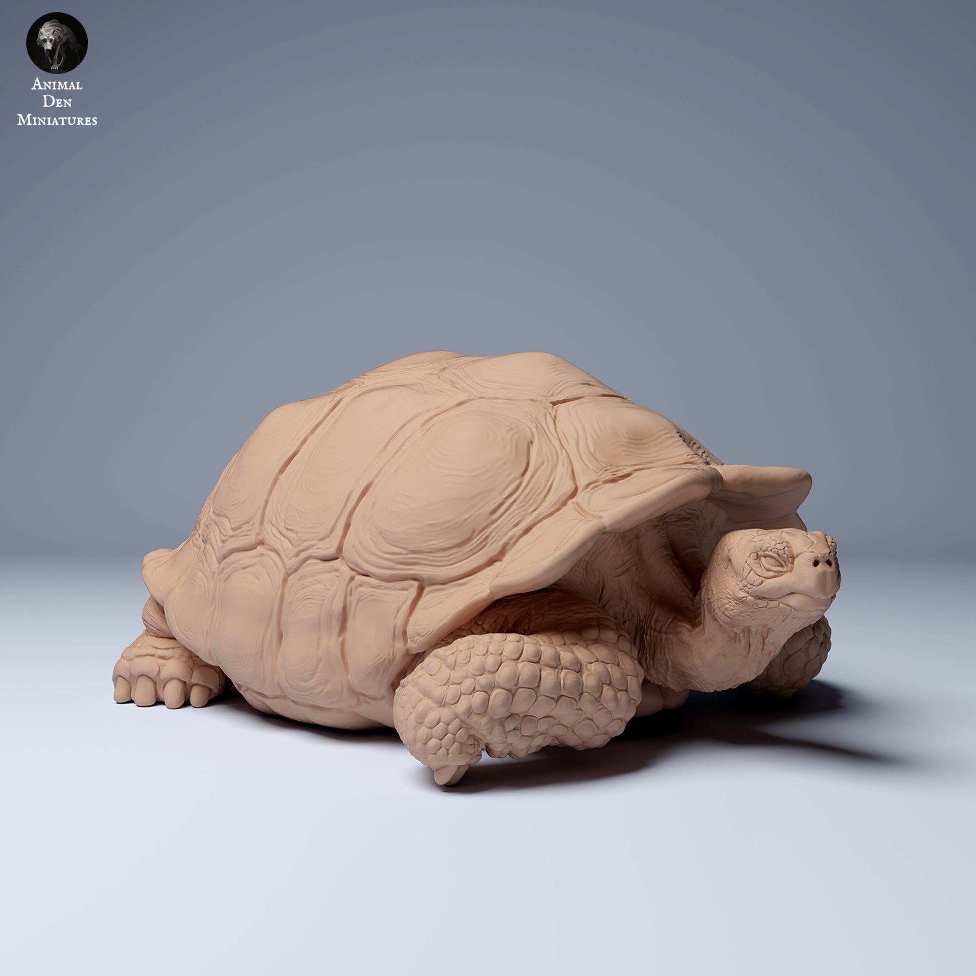 Product photo Animal Figure Diorama, Model Building: 0: Wild Animal Figure: Lying Galápagos Giant Tortoise (Ref 24_08_04)
