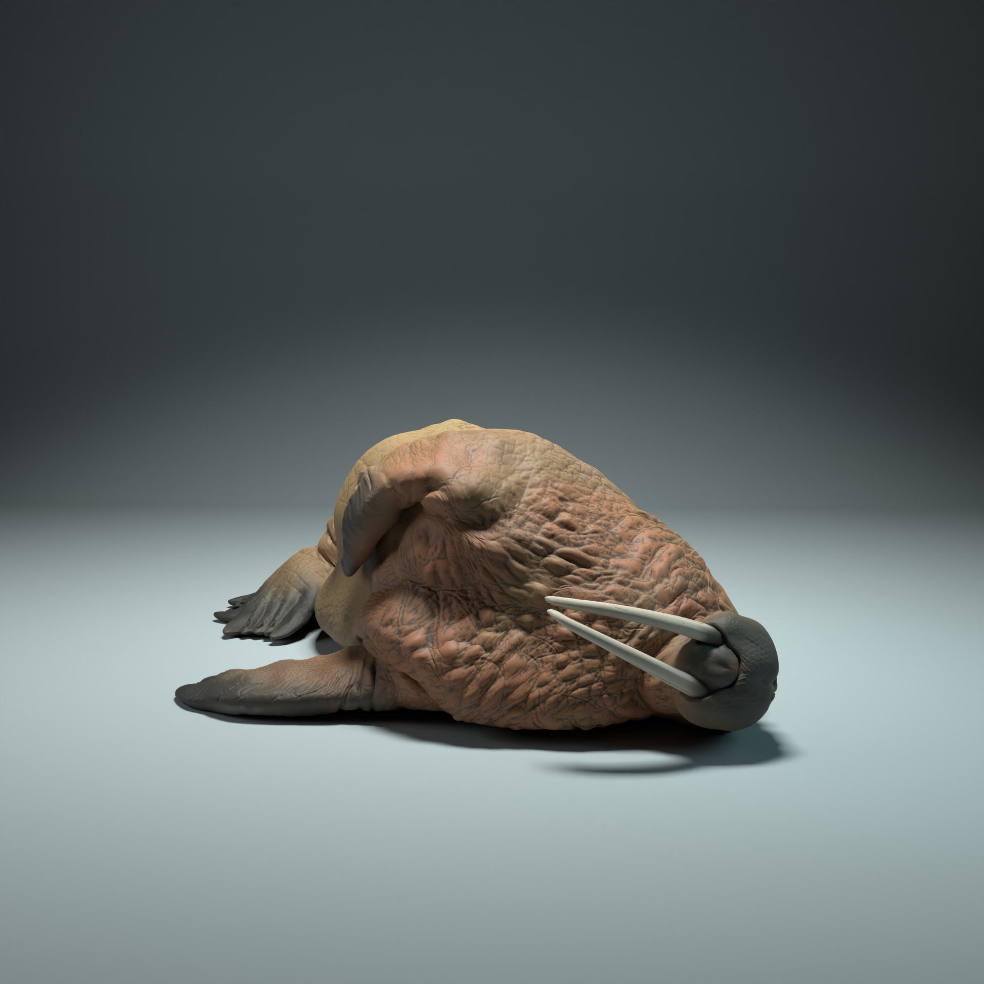 Product photo Animal Figure Diorama, Model Building: 0: Sea Creature Figure: Sleeping Walrus (Ref 01_01_49)