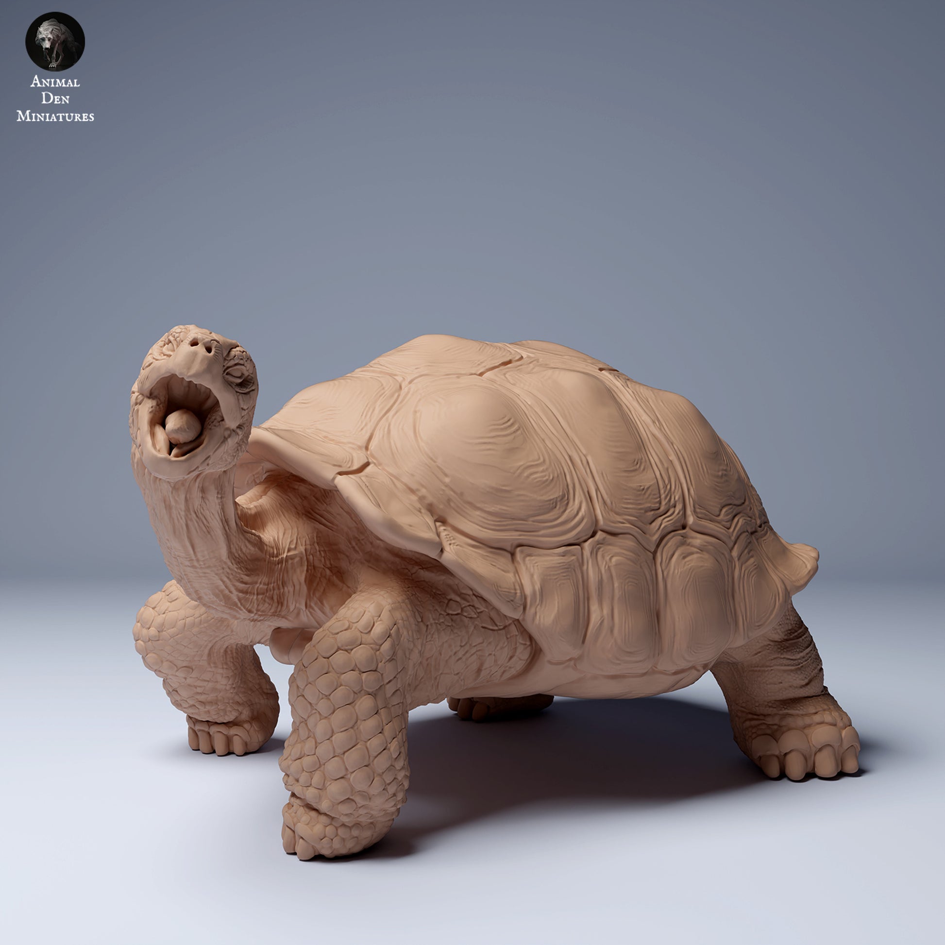 Product photo animal figure diorama, model building: 0: Jungle animal figure: feeding Galápagos giant tortoise (Ref 24_08_03)