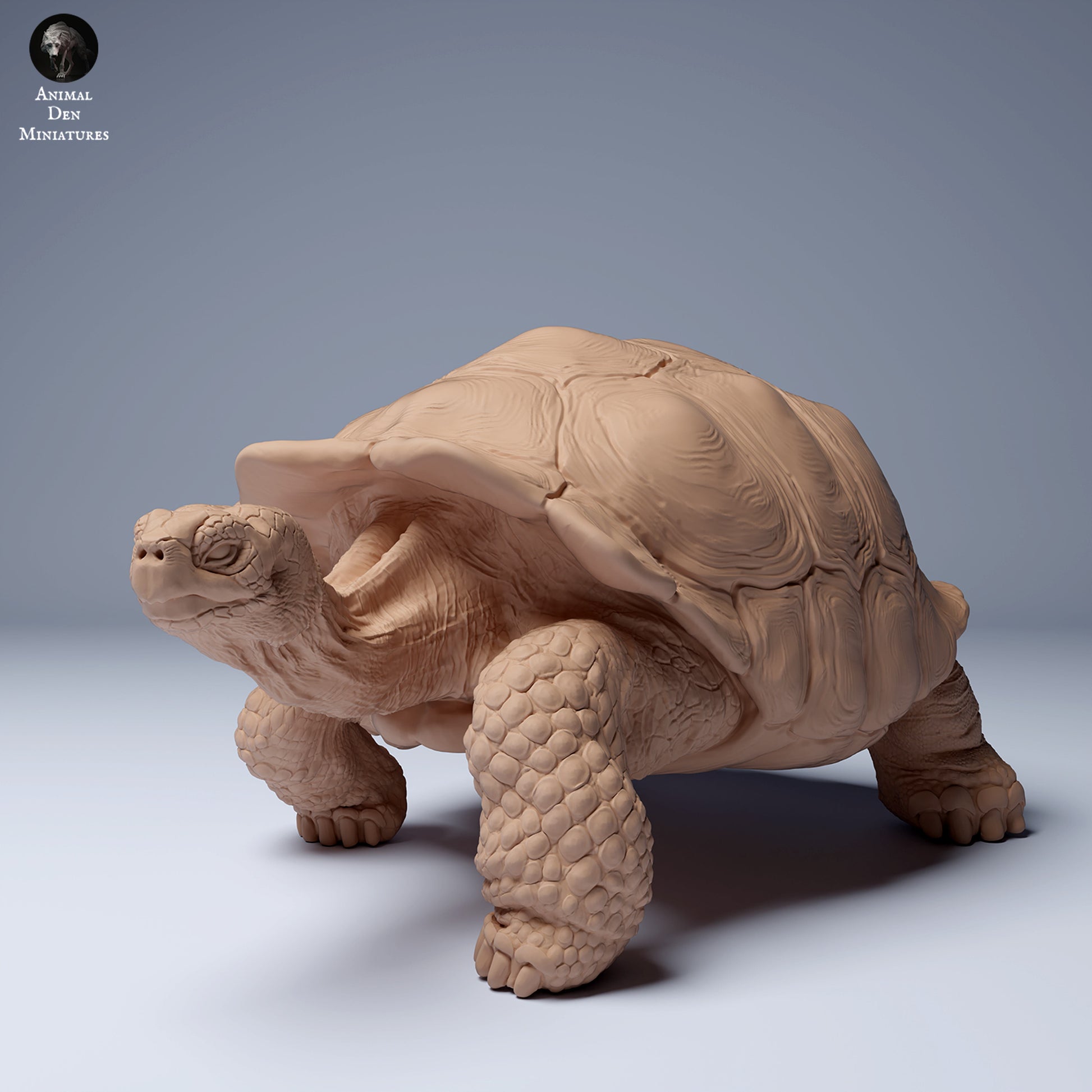 Product photo Animal Figure Diorama, Model Building: 0: Wildlife Figure: Galápagos Giant Tortoise (Ref 24_08_05)