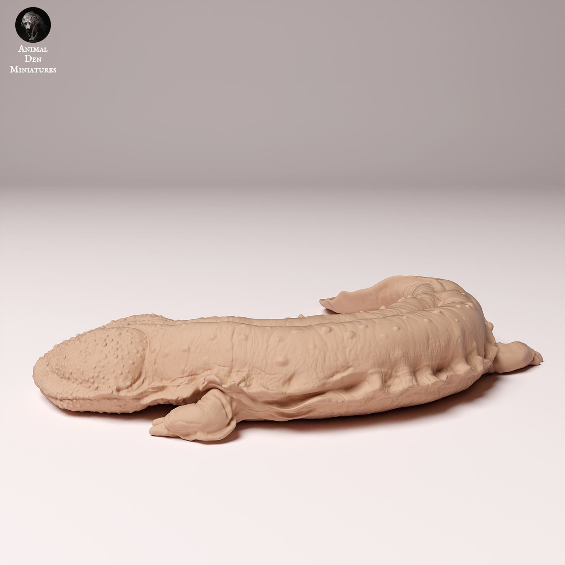 Product photo Animal Figure Diorama, Model Building: 0: Wildlife Figure: Japanese Giant Salamander (Ref 24_10_04)