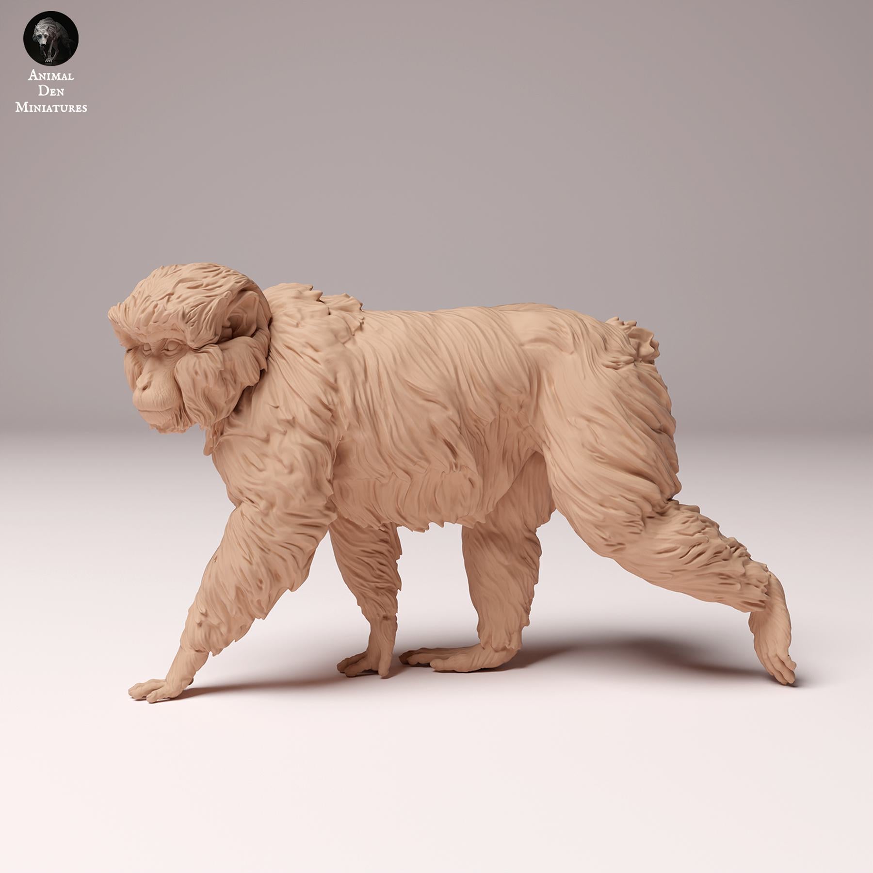 Product photo Animal Figure Diorama, Model Building: 0: Wildlife Figure: Japanese Macaque – Snow Monkey (Ref 24_10_09)