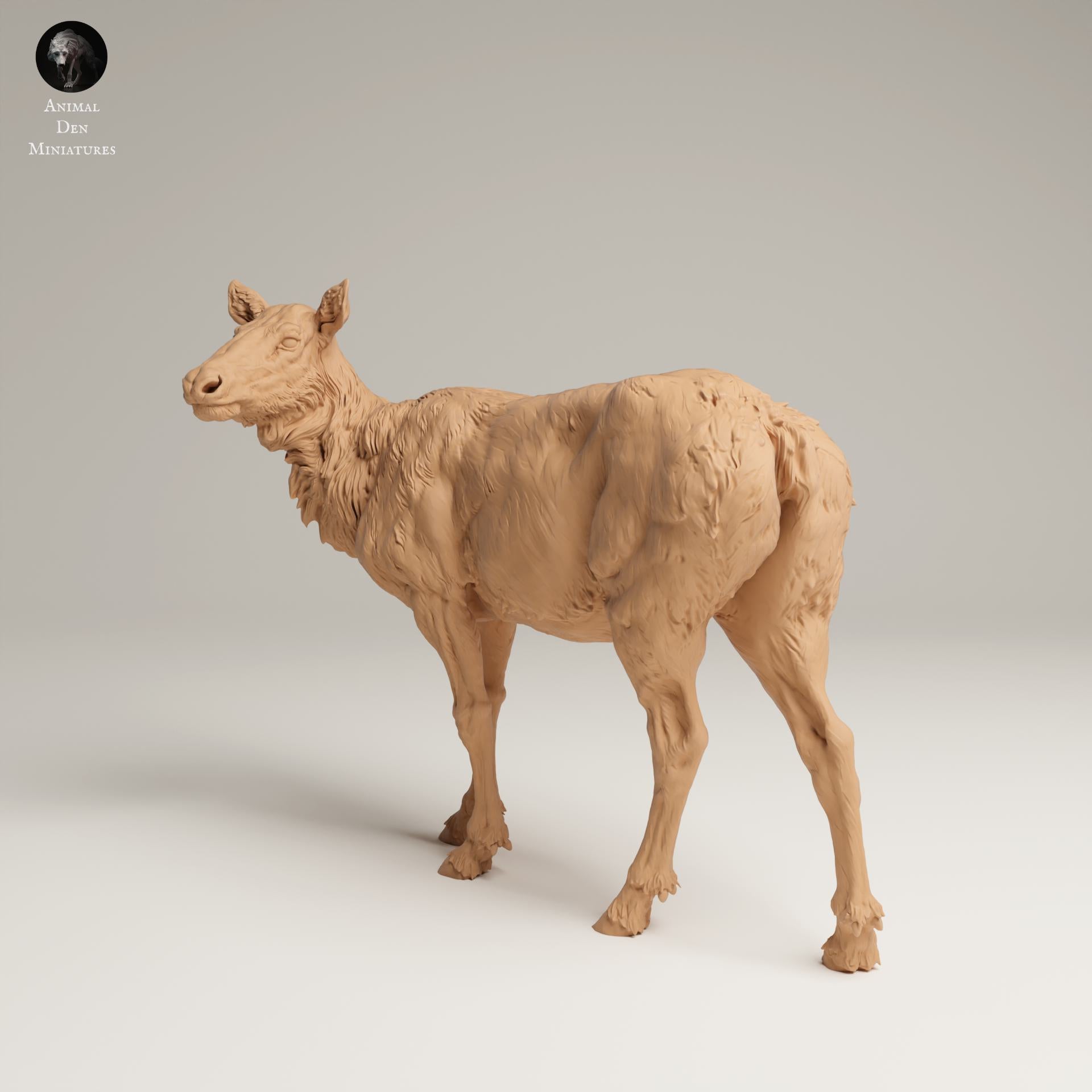 Product photo Animal Figure Diorama, Model Building: 0: Wild Animal Figure: Rocky Mountain Elk Cow (Ref 25_06_02)
