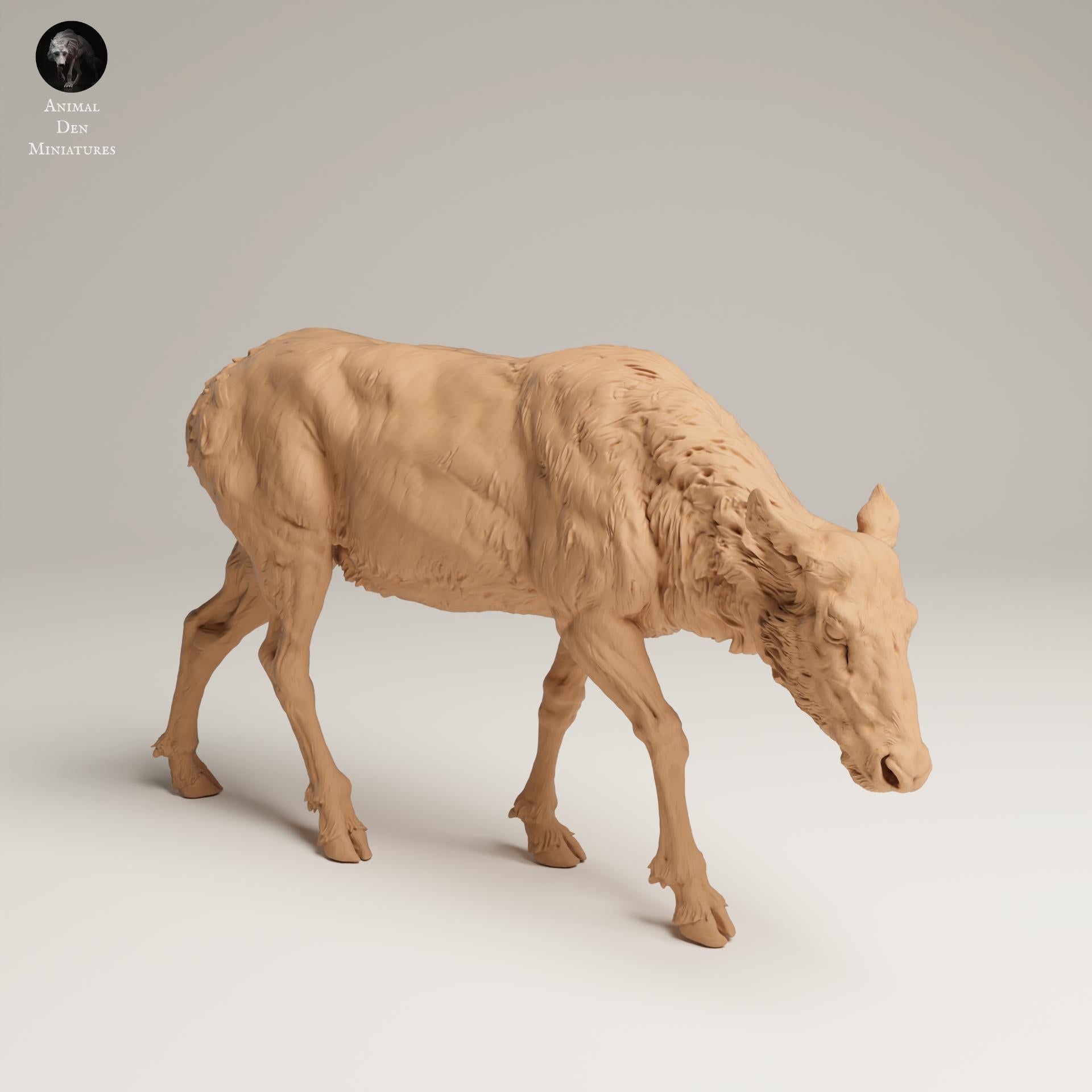 Product photo Animal Figure Diorama, Model Building: 0: Wildlife Figure: Grazing Rocky Mountain Elk Cow (Ref 25_06_01)