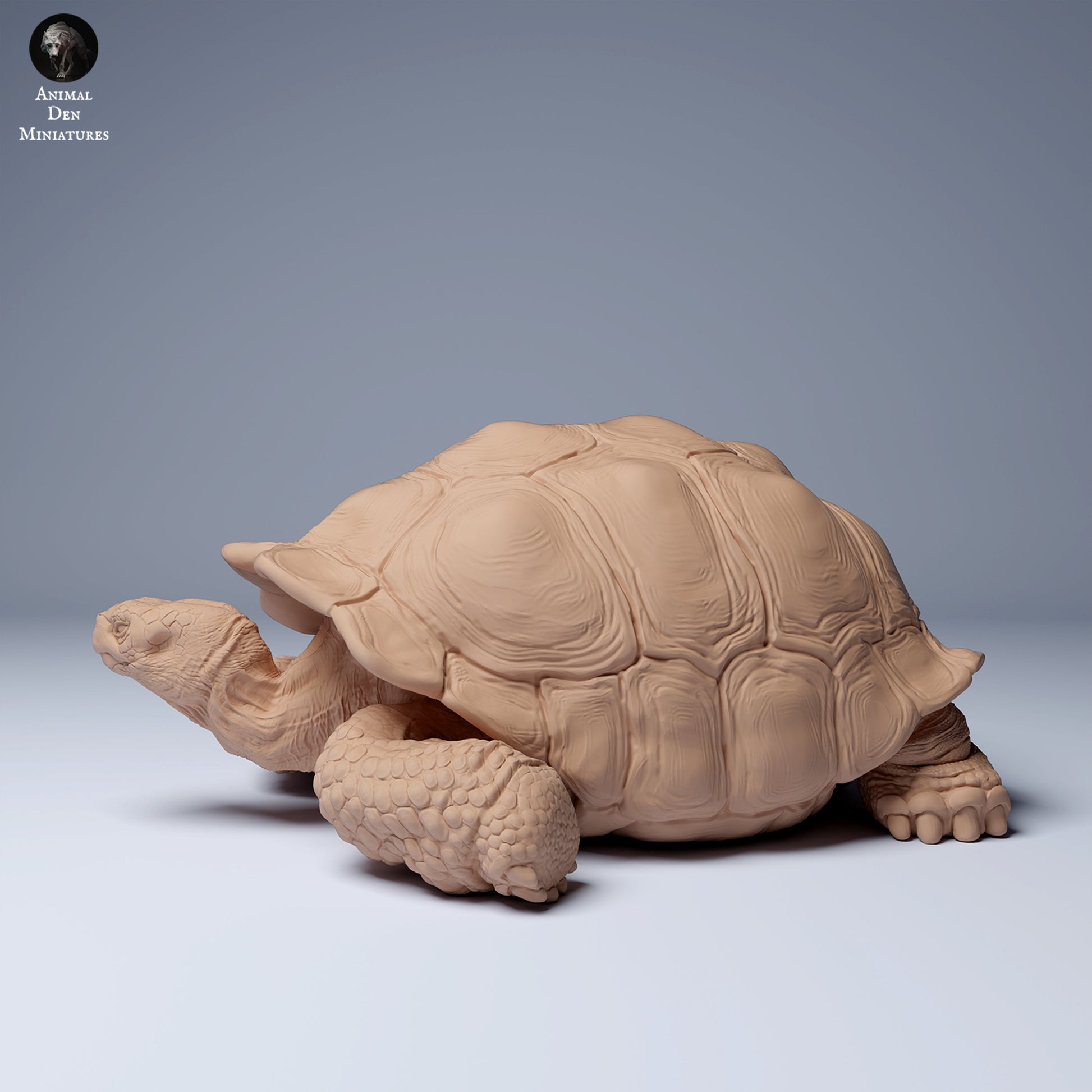 Product photo Animal Figure Diorama, Model Building: 0: Wild Animal Figure: Lying Galápagos Giant Tortoise (Ref 24_08_04)
